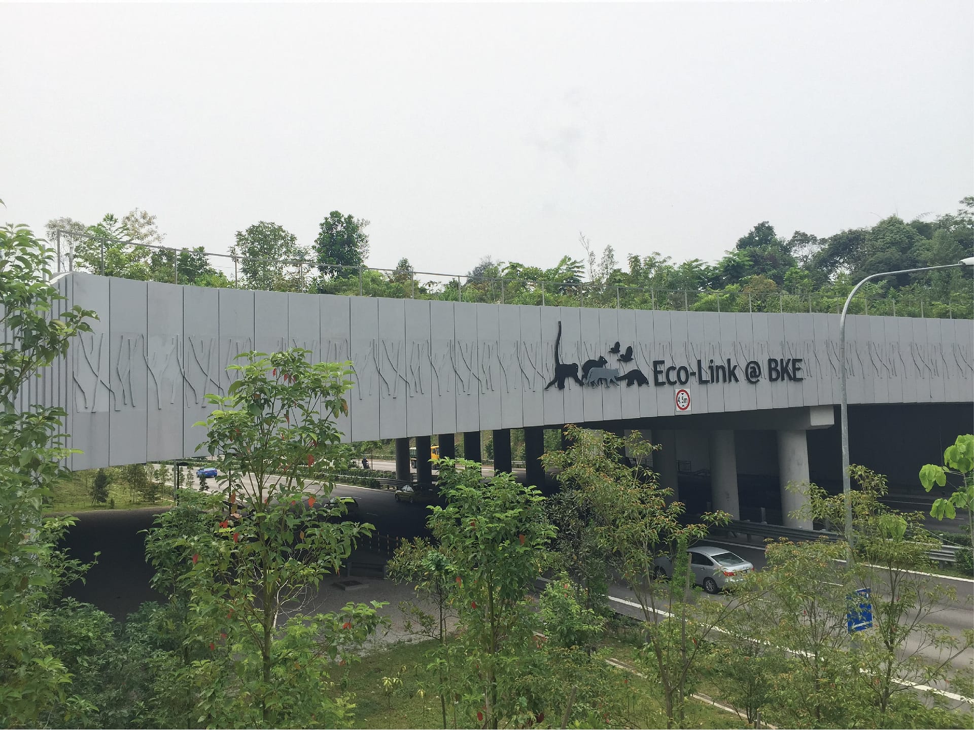 新加坡 Eco-Link@BKE 生态桥梁防树根穿刺防水